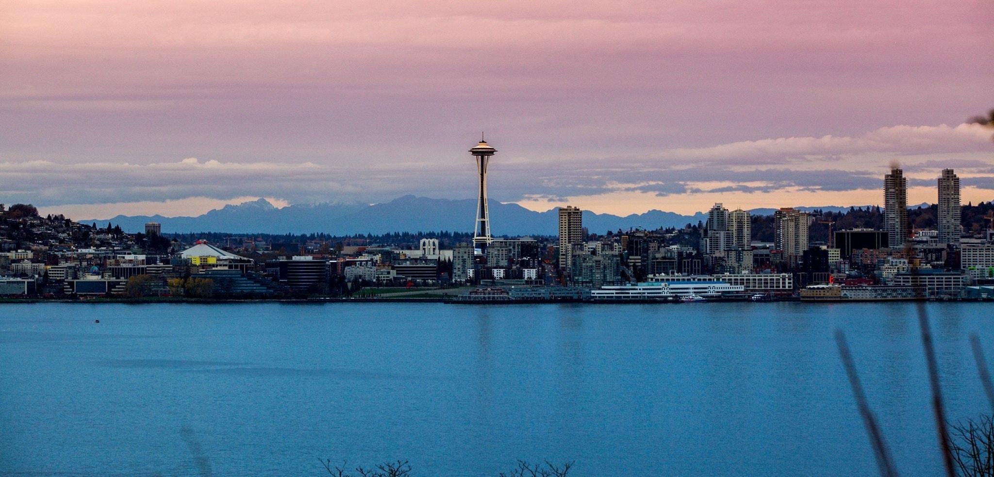 Carolyn-Kulb-Sustainable-Floristry-Water-Seattle The Seattle skyline with a view of the water