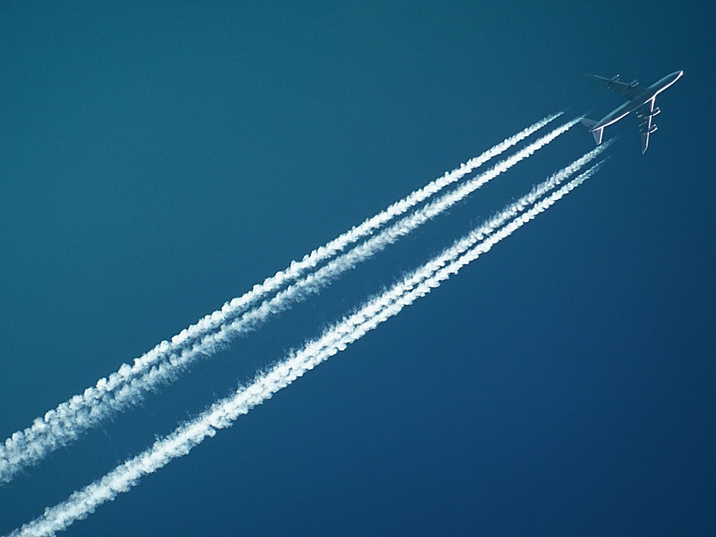 Carolyn-Kulb-Sustainable-Floristry-carbon-footprint A plane in the sky demonstrates the carbon footprint of imported flowers